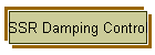 SSR Damping Control